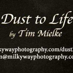 Dust to Life Contact Information